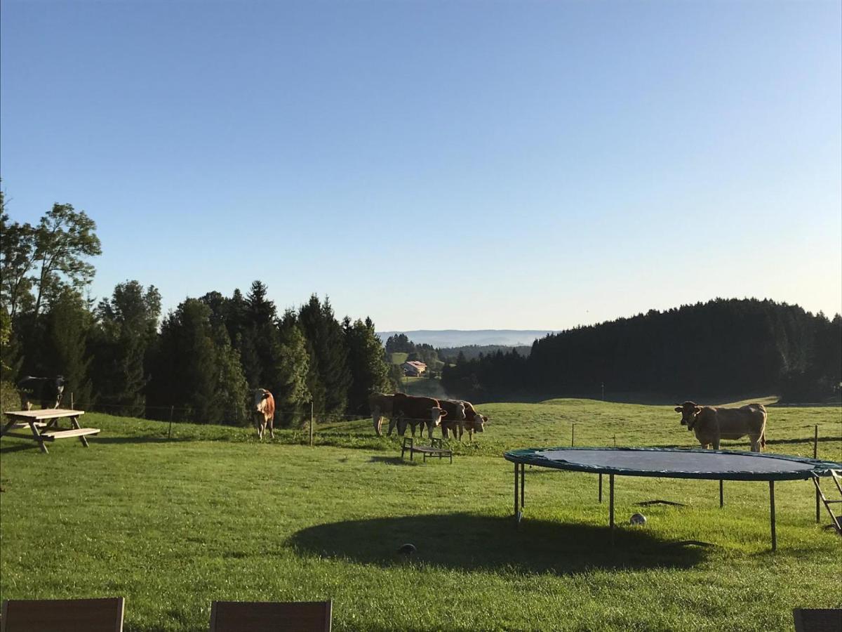 Gmeinder'S Landhaus Immenstadt im Allgaeu Ngoại thất bức ảnh
